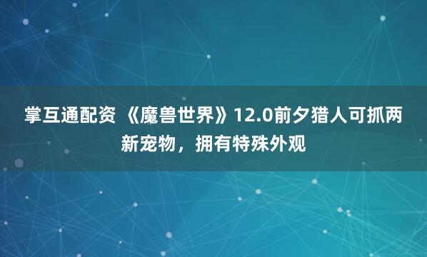 掌互通配资 《魔兽世界》12.0前夕猎人可抓两新宠物，拥有特殊外观