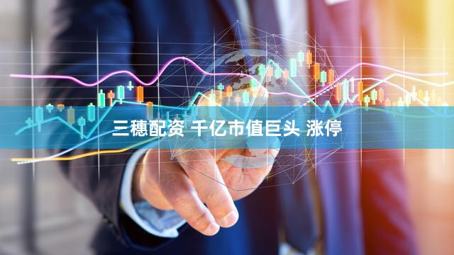 三穗配资 千亿市值巨头 涨停
