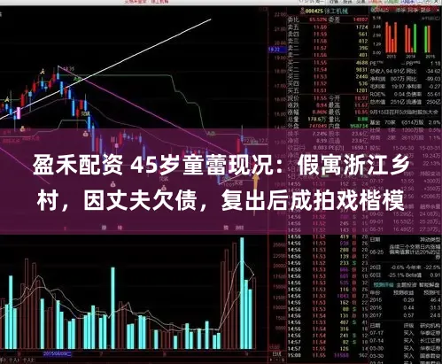 盈禾配资 45岁童蕾现况：假寓浙江乡村，因丈夫欠债，复出后成拍戏楷模