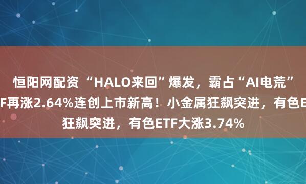 恒阳网配资 “HALO来回”爆发，霸占“AI电荒”风口！电力ETF再涨2.64%连创上市新高！小金属狂飙突进，有色ETF大涨3.74%