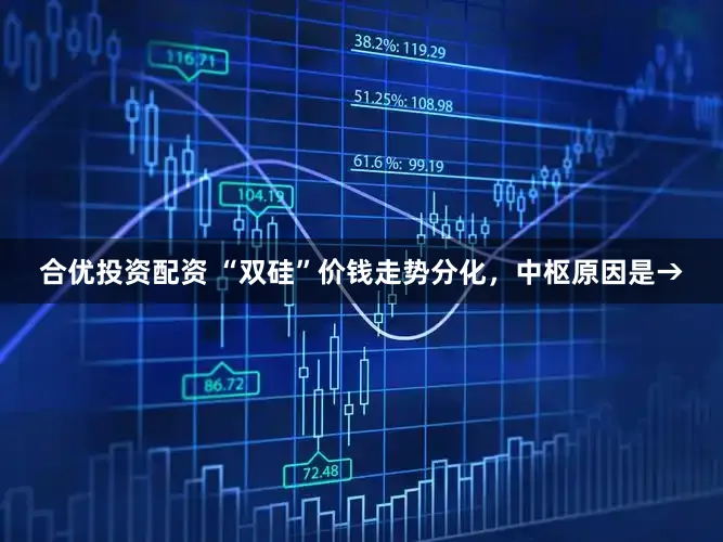 合优投资配资 “双硅”价钱走势分化，中枢原因是→