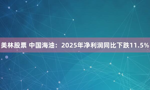 美林股票 中国海油:2025年净利润同比下跌11.5%