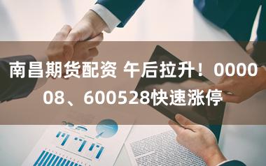 南昌期货配资 午后拉升!000008、600528快速涨停