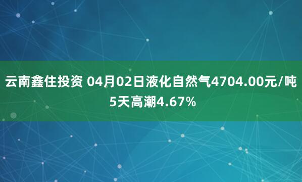 云南鑫住投资 04月02日液化自然气4704.00元/吨 5天高潮4.67%