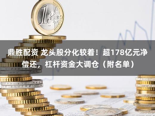 鼎胜配资 龙头股分化较着！超178亿元净偿还，杠杆资金大调仓（附名单）