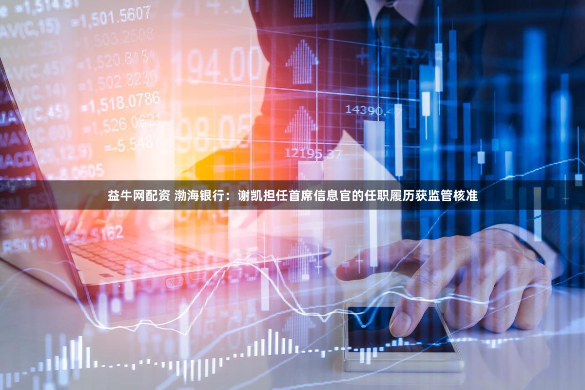 益牛网配资 渤海银行:谢凯担任首席信息官的任职履历获监管核准